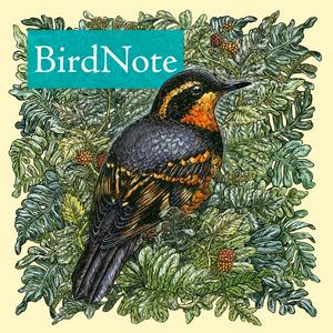 Escucha BirdNote Daily en la aplicación