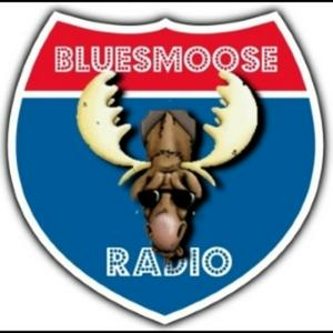 Escucha Blues Moose Radio (Blues music) en la aplicación