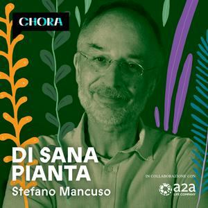 Escucha Di sana pianta en la aplicación