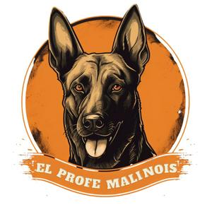 Escucha El Profe Malinois | Adiestramiento canino en la aplicación