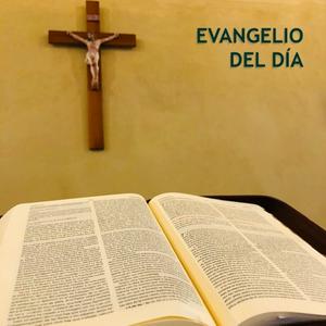 Escucha Evangelio del día - P. Pedro Brassesco en la aplicación