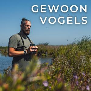 Escucha Gewoon Vogels en la aplicación