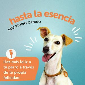 Escucha Hasta la Esencia. Por Rumbo Canino en la aplicación