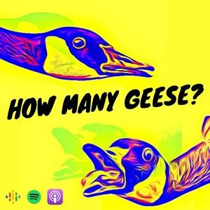 Escucha How many geese? en la aplicación