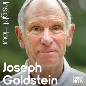 Escucha Insight Hour with Joseph Goldstein en la aplicación