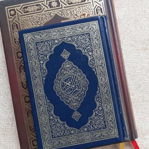 Escucha Quran in Audio (Multilingual) en la aplicación