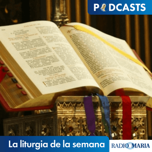 Escucha La liturgia de la semana en la aplicación