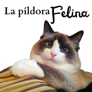 Escucha La Píldora Felina en la aplicación