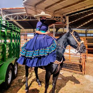 Escucha La vida de los caballos en la aplicación