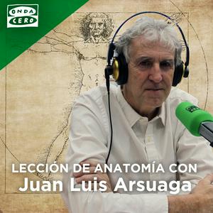 Escucha Lección de anatomía en la aplicación