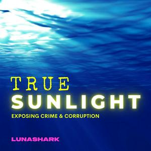 Escucha True Sunlight en la aplicación