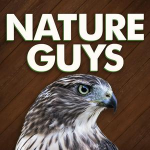 Escucha Nature Guys en la aplicación