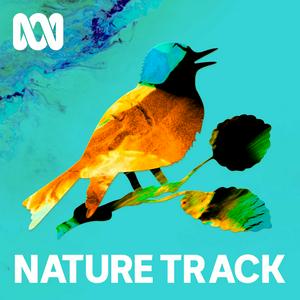 Escucha Nature Track en la aplicación