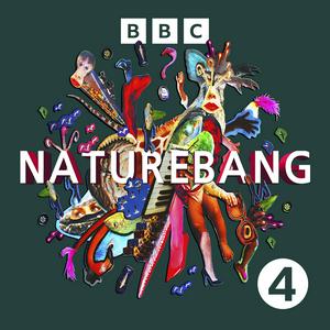 Escucha Naturebang en la aplicación