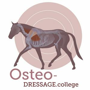 Escucha OsteoDressage - Reiten, wie es Pferde lieben en la aplicación