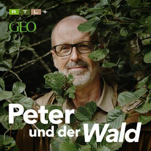 Escucha Peter und der Wald – ein GEO-Podcast en la aplicación