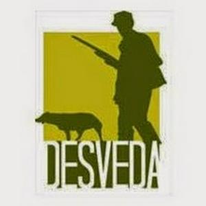 Escucha Podcast DESVEDA en la aplicación