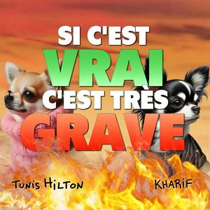 Escucha Si c'est vrai, c'est très grave en la aplicación