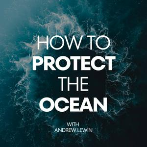 Escucha How To Protect The Ocean en la aplicación