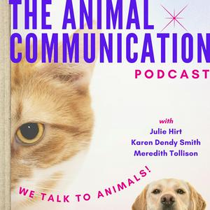 Escucha The Animal Communication Podcast en la aplicación