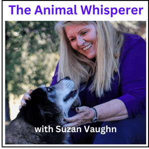 Escucha The Animal Whisperer with Suzan Vaughn: Animal Communication Stories en la aplicación