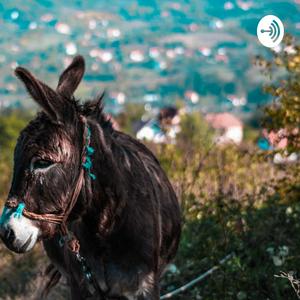 Escucha The Donkeys purpose in Africa en la aplicación