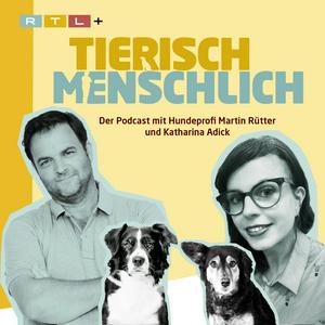 Escucha Tierisch menschlich - Der Podcast mit Hundeprofi Martin Rütter und Katharina Adick en la aplicación