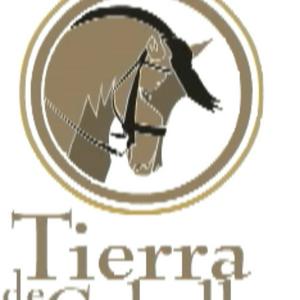 Escucha Tierra de caballos en la aplicación