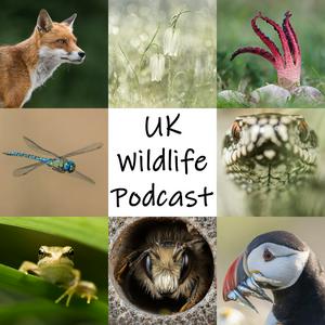 Escucha UK Wildlife Podcast en la aplicación