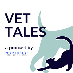 Escucha Vet Tales en la aplicación