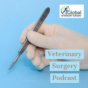 Escucha Veterinary Surgery Podcast en la aplicación