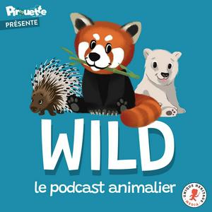 Escucha Wild, le podcast animalier en la aplicación